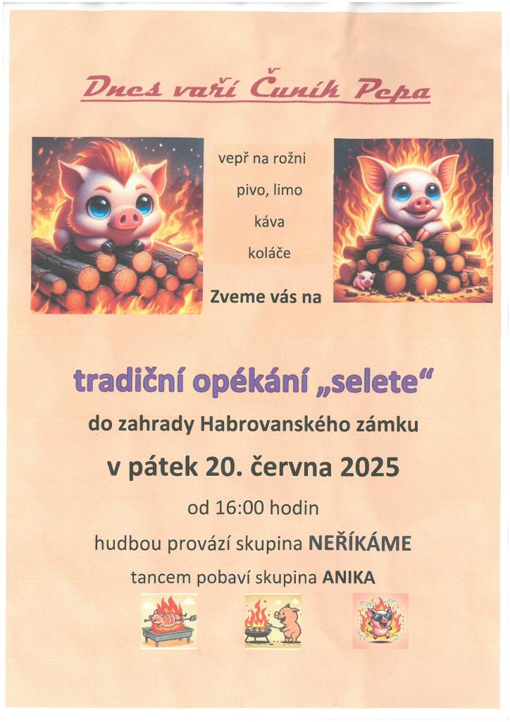Plakát